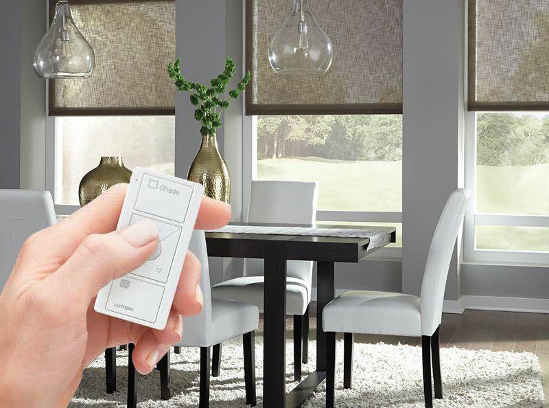 hand holding lutron remote
